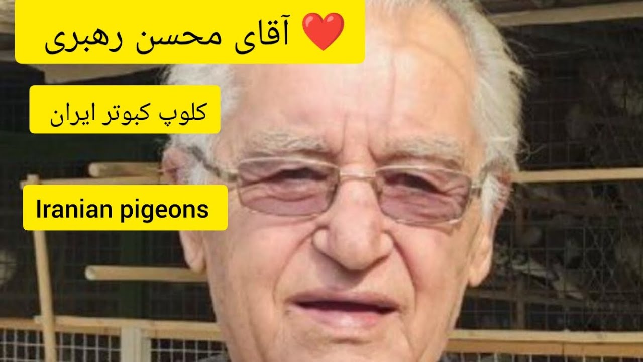 ❤️ ۱۰ آبان ماه  ۱۴۰۲ گزارش و مصاحبه شماره 1 با آقای محسن رهبری iranian high flyers pigeon