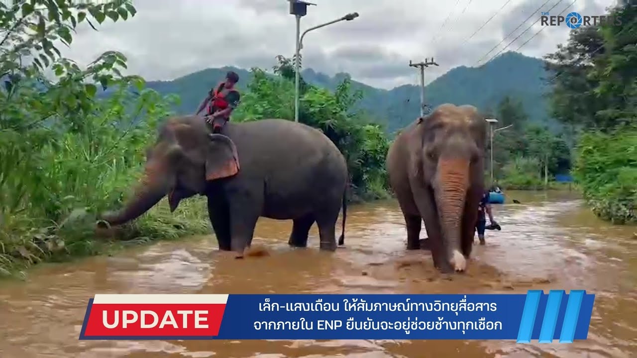 เล็ก-แสงเดือน ให้สัมภาษณ์ทางวิทยุสื่อสารจากภายใน ENP ยืนยันจะอยู่ช่วยช้างทุกเชือก