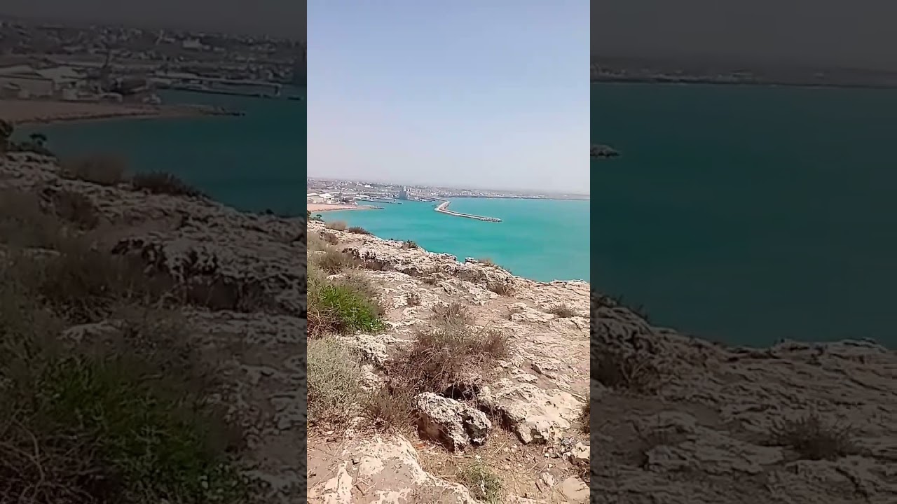 #SAFI