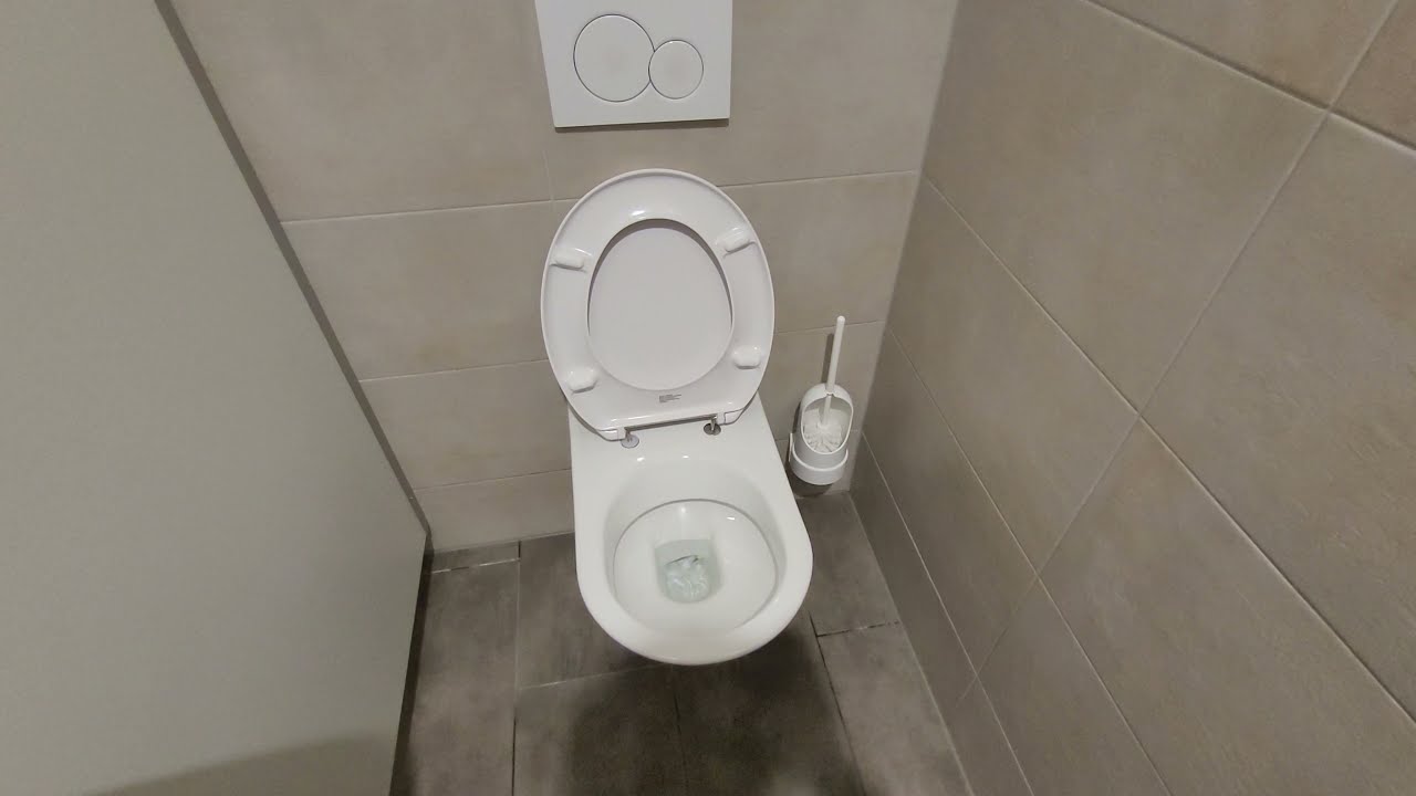 Laufen toilet use for 50 cent in Austria flush test