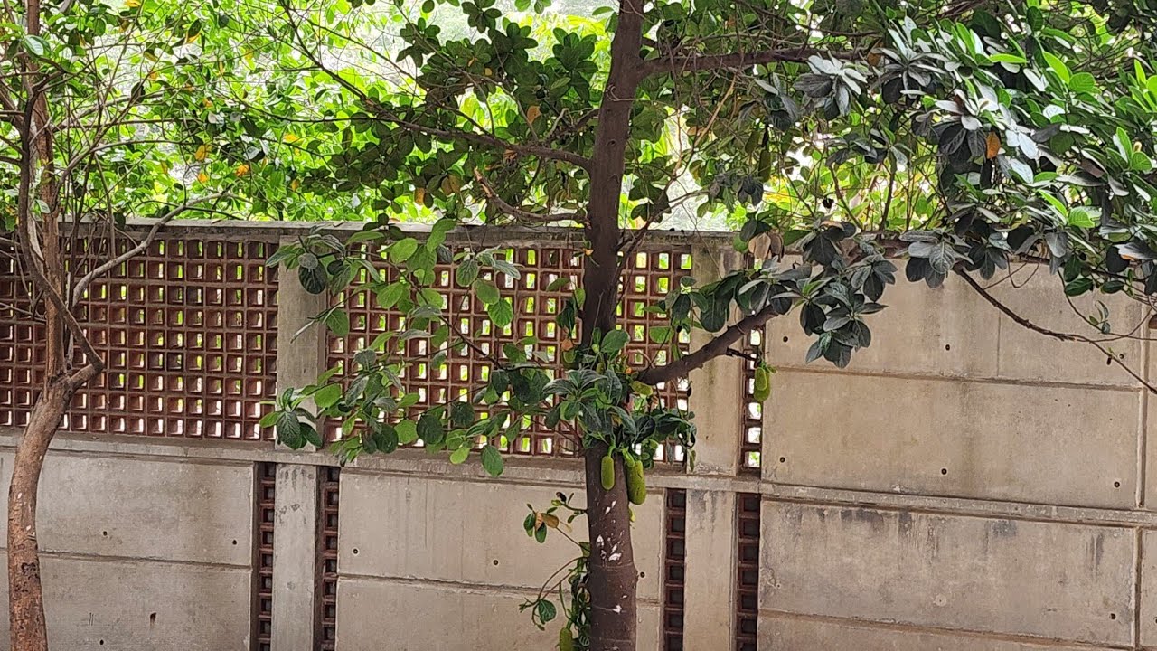 একবারে না পারিলে দেখো শতবার 