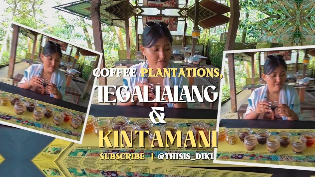 Did we really try POOP COFFEE?! ☕️ Bali Rice Terraces & Volcano Views 🌿🌋