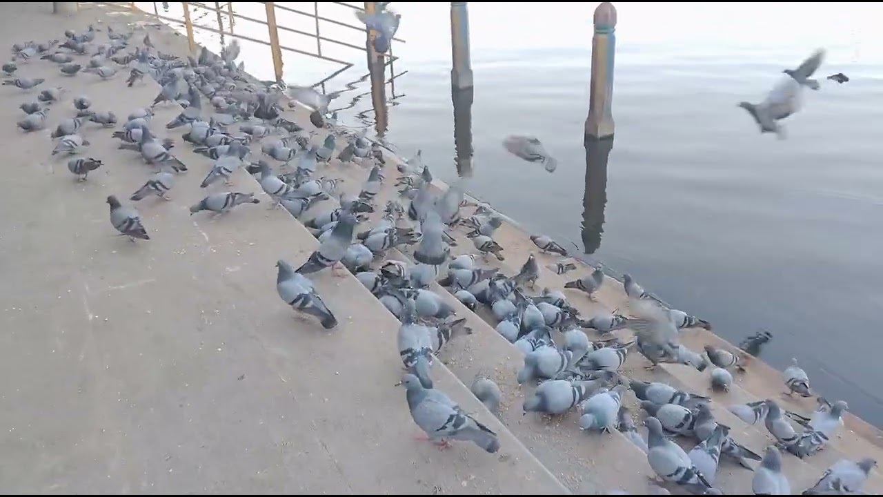 Mathura bangali ghat