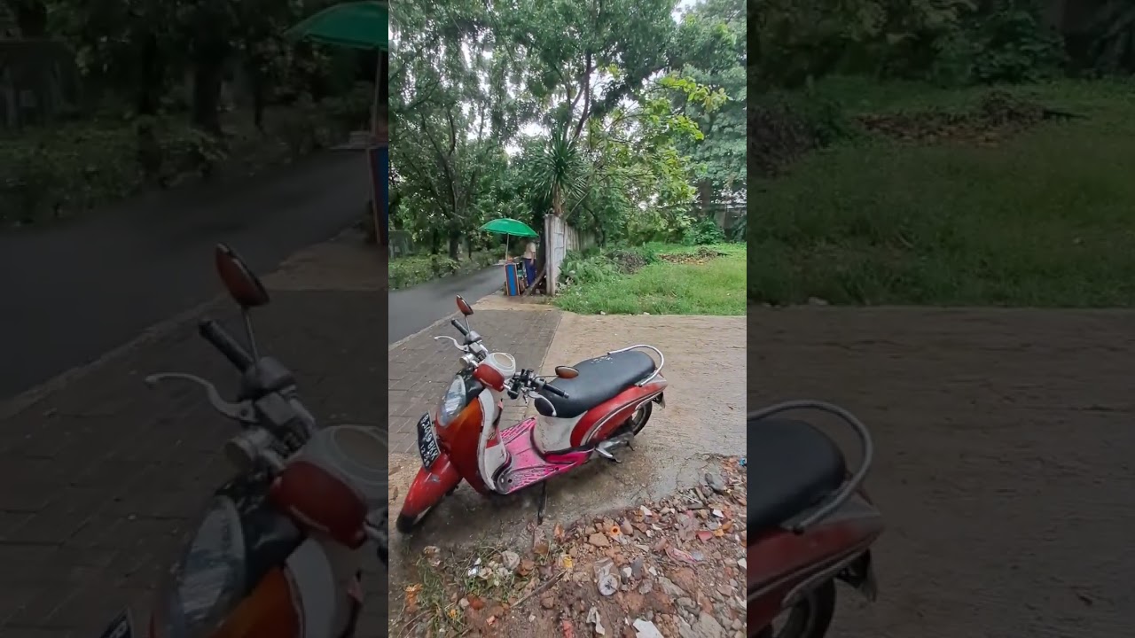 Biar hujan tetap saja memberi makan kucing terlantar