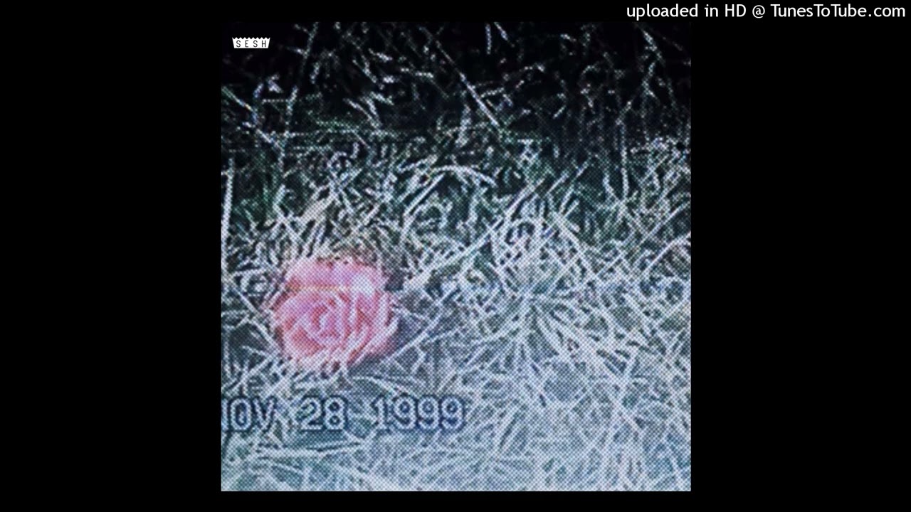 ɹǝʌᴉɹ ǝɥʇ ʎq uʍop - ʎpoqou [reprod. by YuGi Muto]