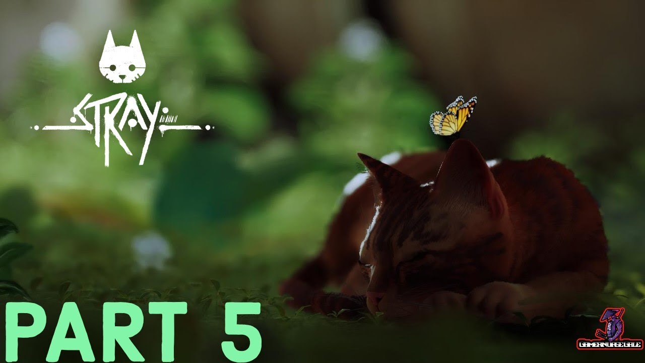 STRAY 🐱 | THE SLUMS | NO COMMENTARY PLAYTHROUGH | PS5 4K HDR