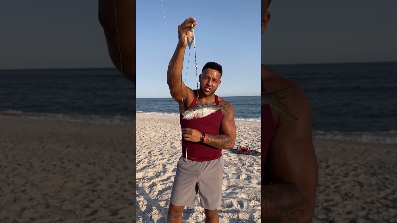 🦈How to catch a shark🦈 #fishing #shark #sharkfishing #fish #newyork #longisland #sharks #lbsf