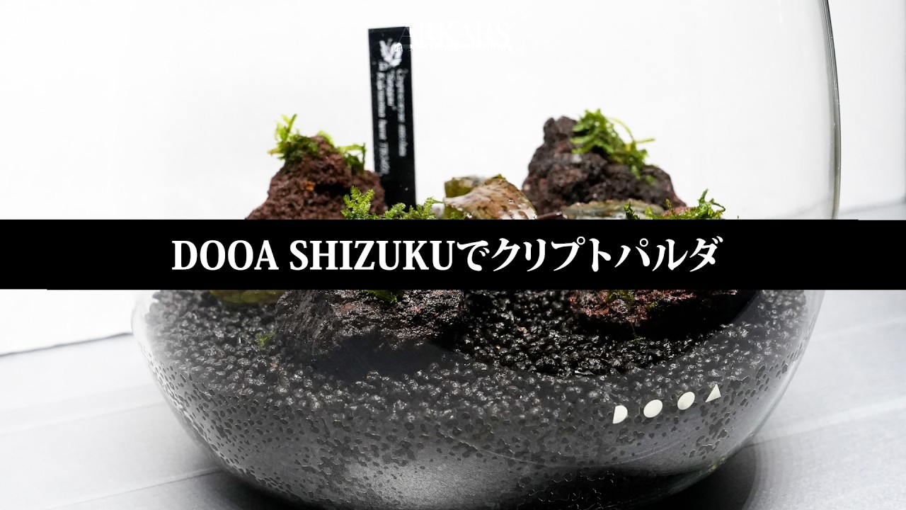 ARKARS_064「DOOA SHIZUKUでクリプトパルダ」