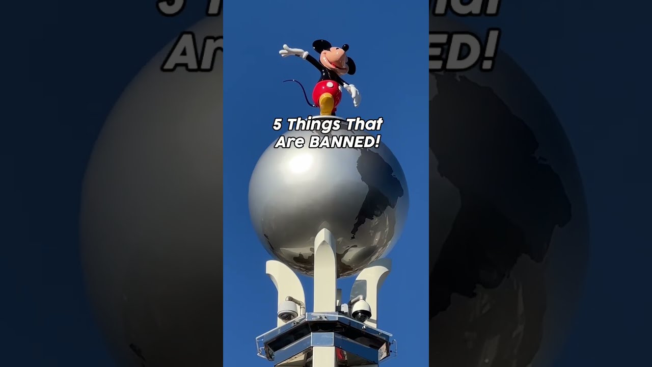 ЗАПРЕЩЕНО в Disney World 🚫