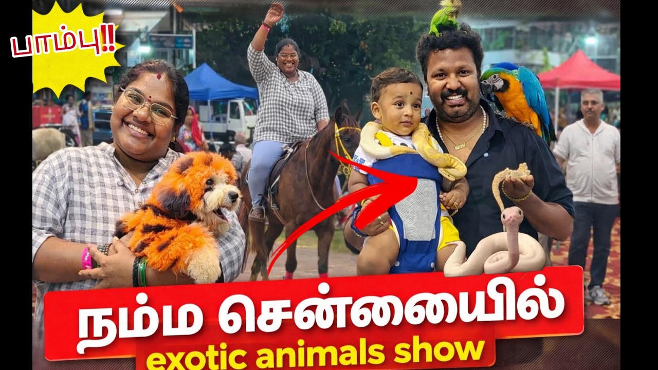நட்சத்திரனுக்கு பயமே இல்லை. நம்ம சென்னையில் Exotic Pets Ah..!! | pawfest 2026 | #ungalpandiyamma 