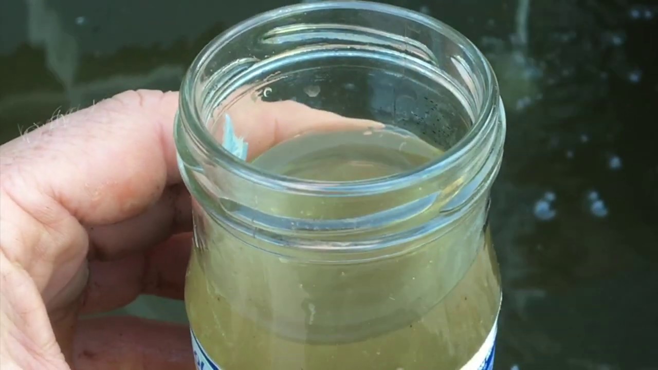 Adding a DIY bog filter to my existing fish pond