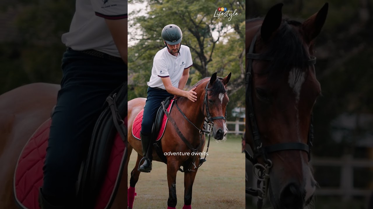 Leisure Farm: where nature and luxury meet