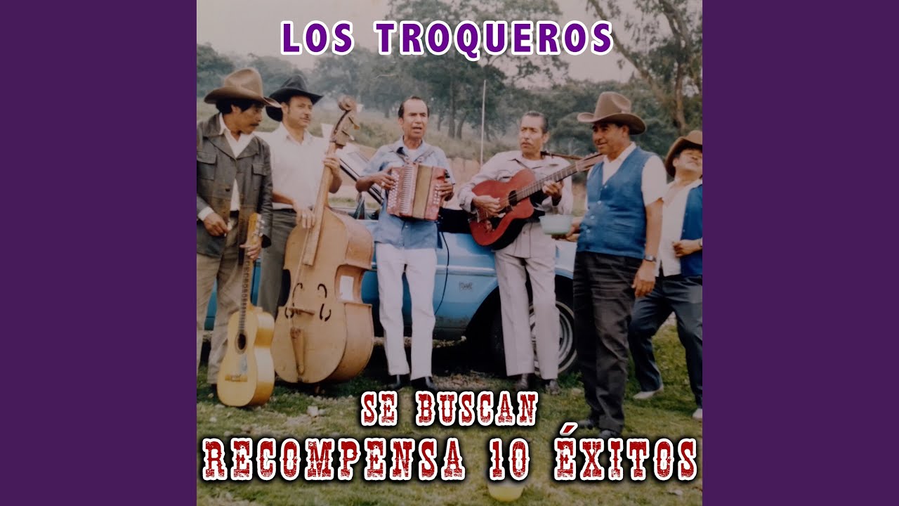 Ando en Buscas