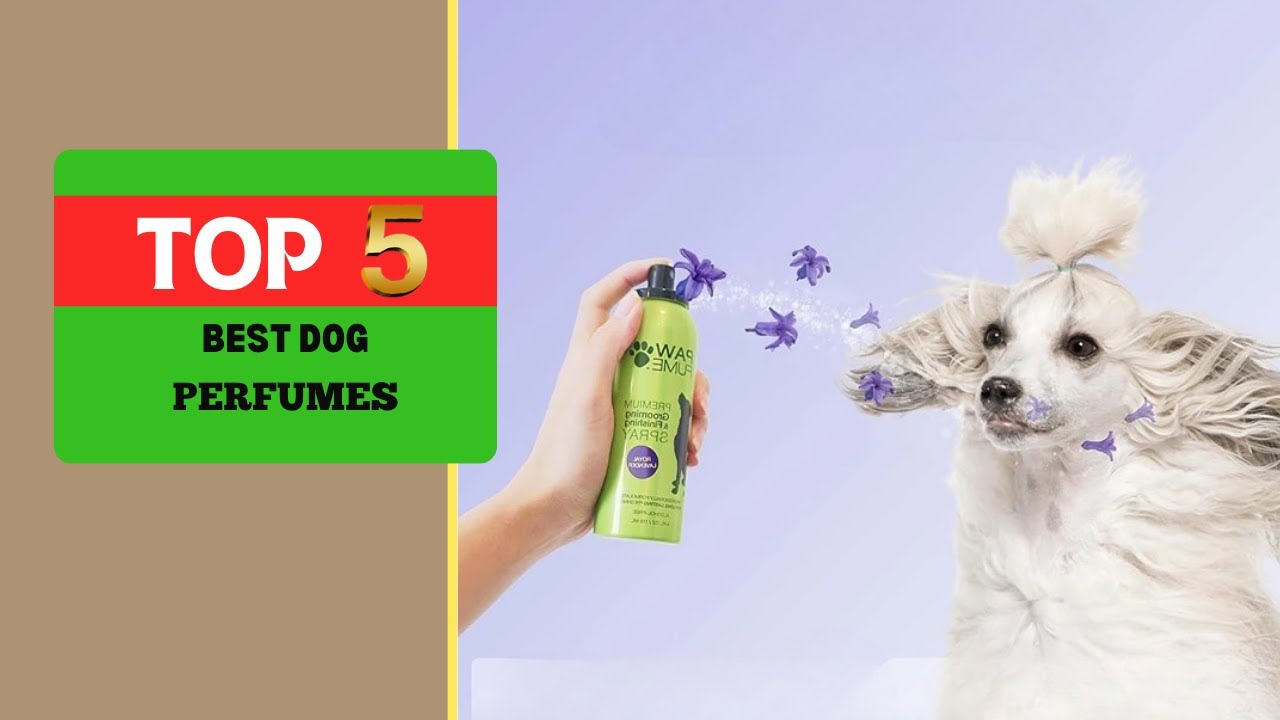 Top 5 Best Dog Perfumes for a Fresh-Smelling Pup