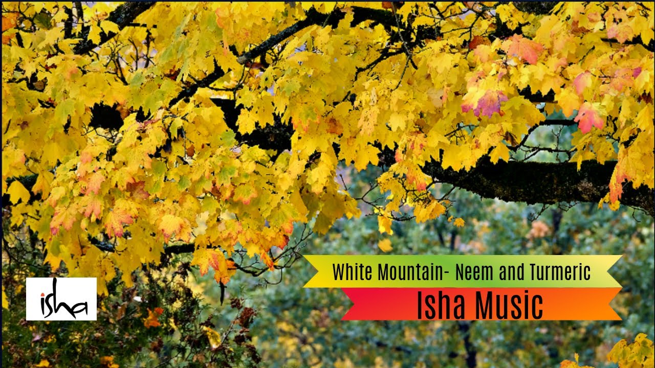 Sound of Isha-Neem and Turmeric | Instrumental | White Mountain with autumn color.
