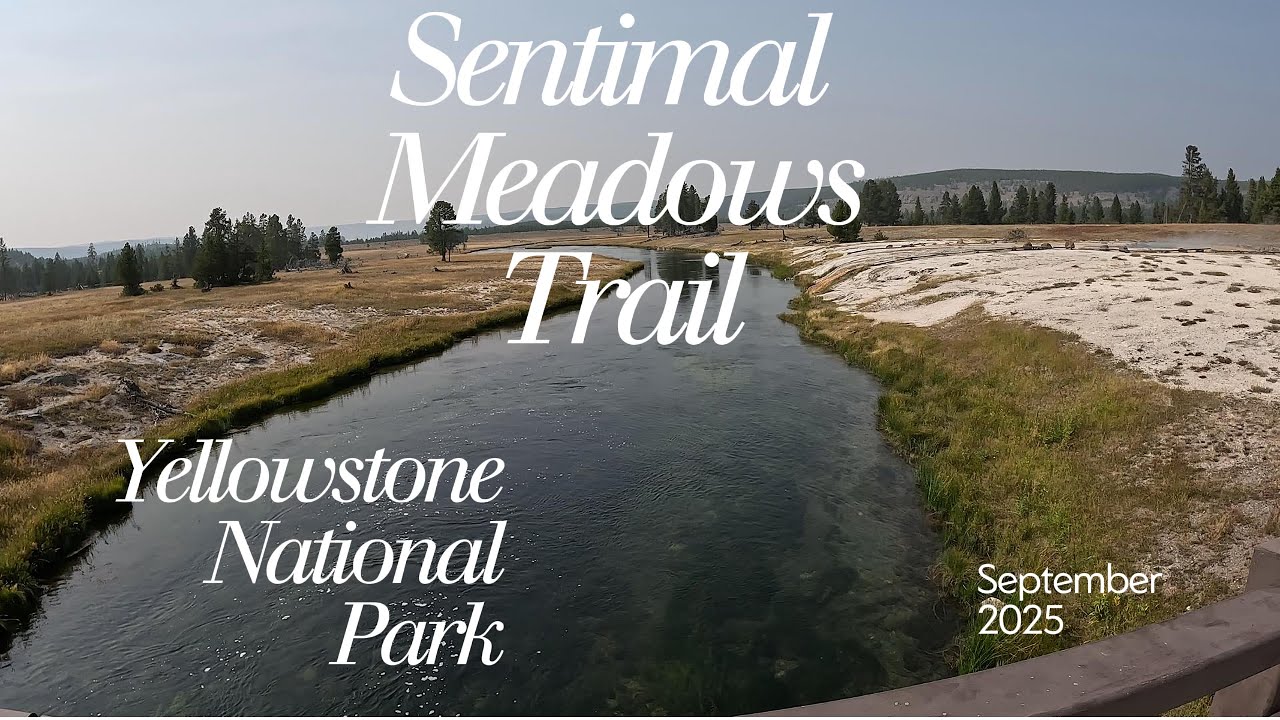 Sentinel Meadows Trail, Yellowstone