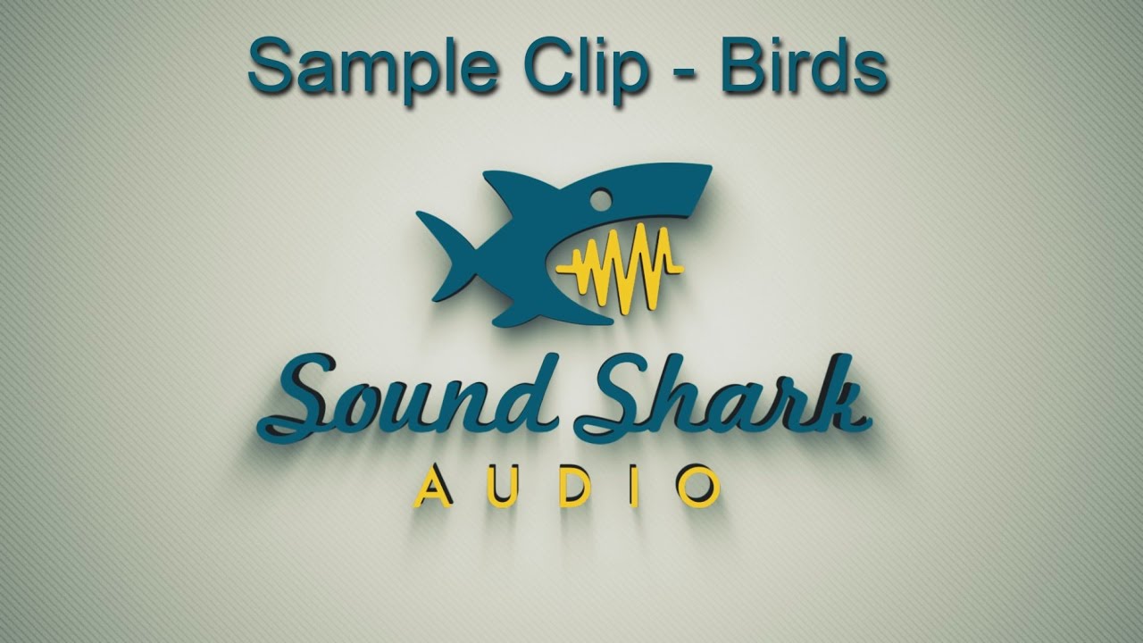 Bird Sounds Audio Recording Sample