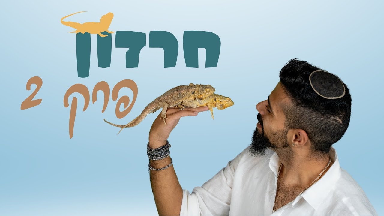 חיבור לטבע - פרק 2 - חרדונים - נהוראי מלך החיות 🦁