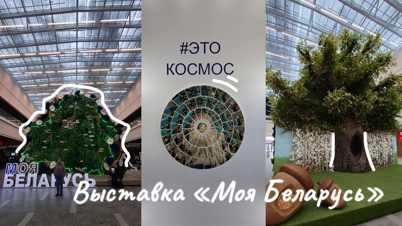 Выставка 