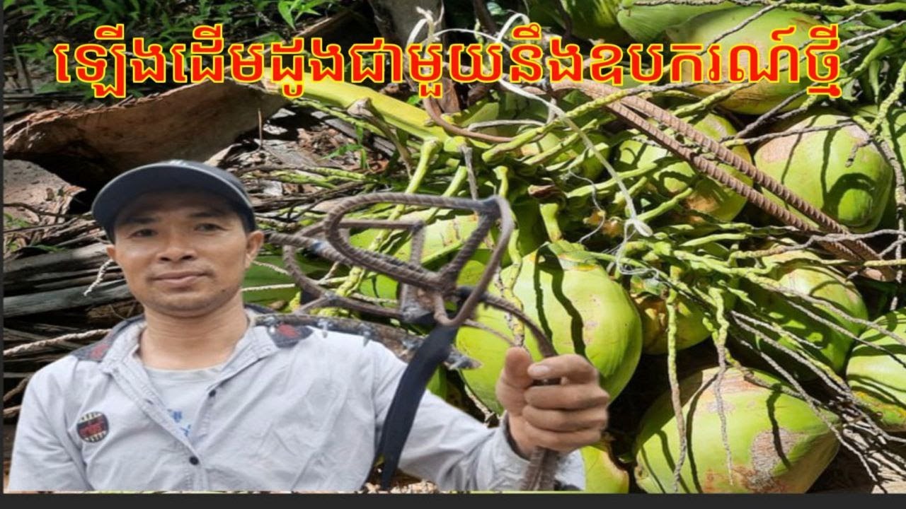 @ឡើងដើមដូងជាមួយនឹងឧបករណ៍ថ្មី Climb a palm tree with new tools