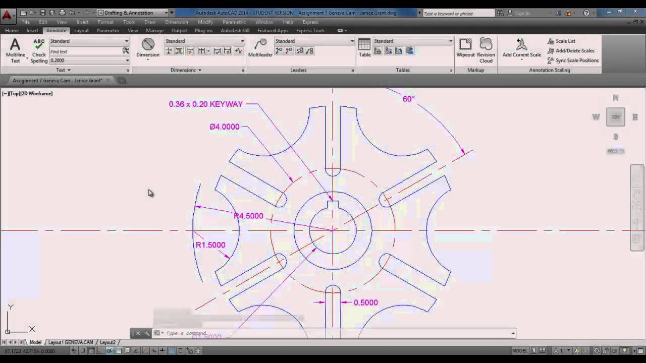 Chapter 7 Video Presentation 3   Geneva Cam