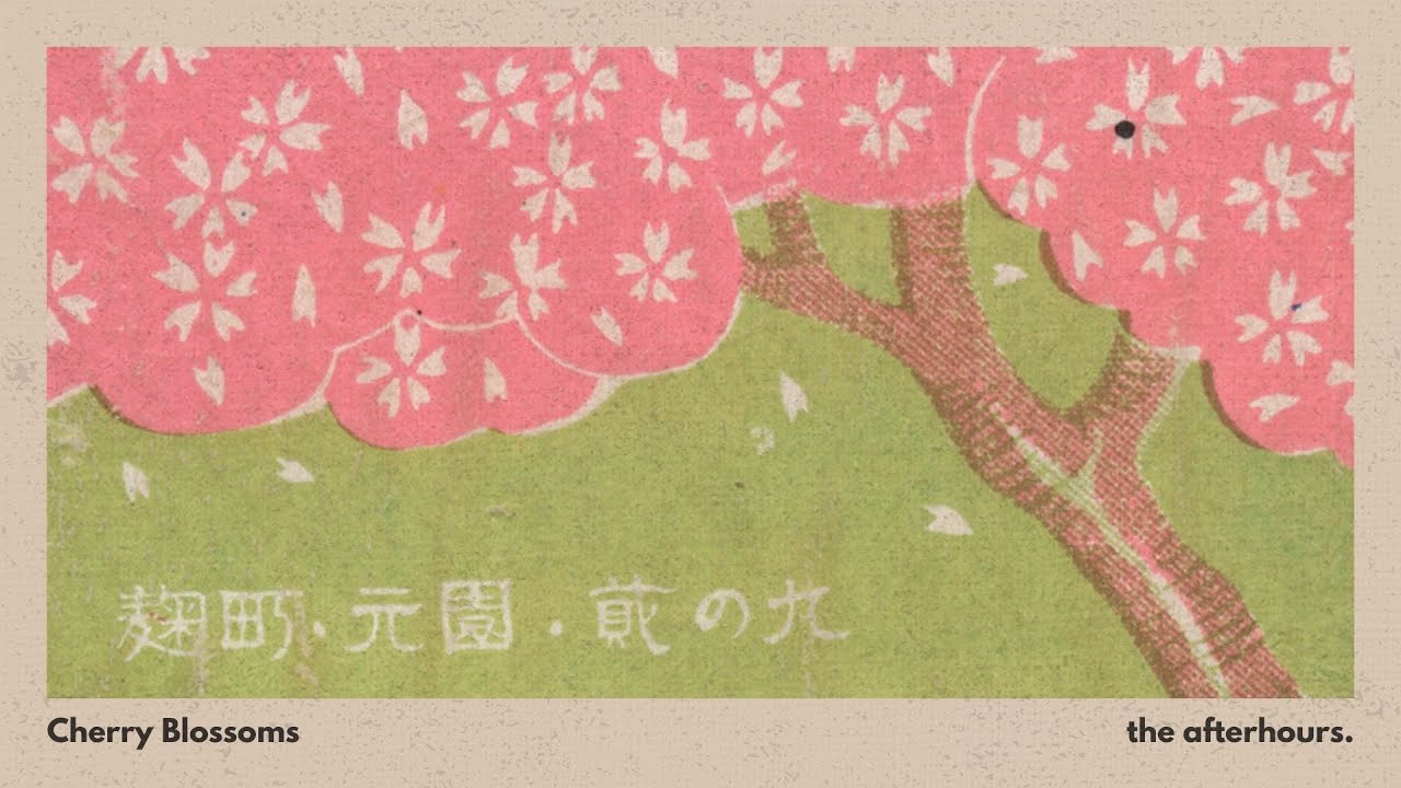Cherry Blossoms | A Lo-Fi Playlist