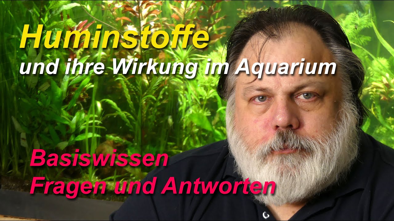 Huminstoffe und ihre Wirkung im Aquarium. Benötigen wir Huminstoffe im Aquarium?