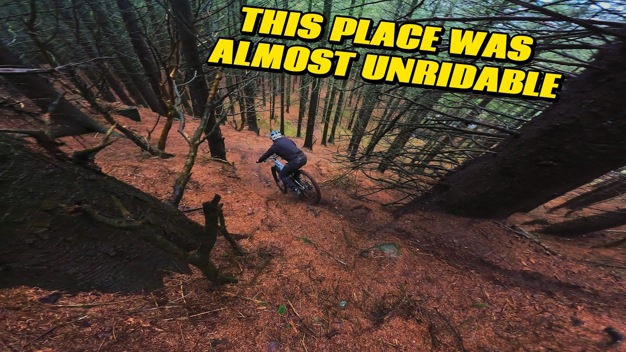 Mac Forest MTB Takes No Prisoners