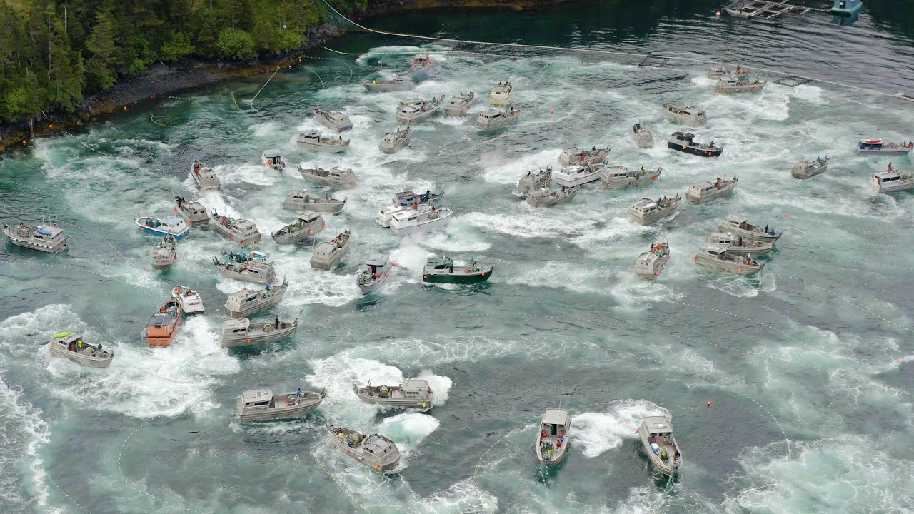 Main Bay Hatchery Gillnet Rodeo - June 15, 2020 - 4K