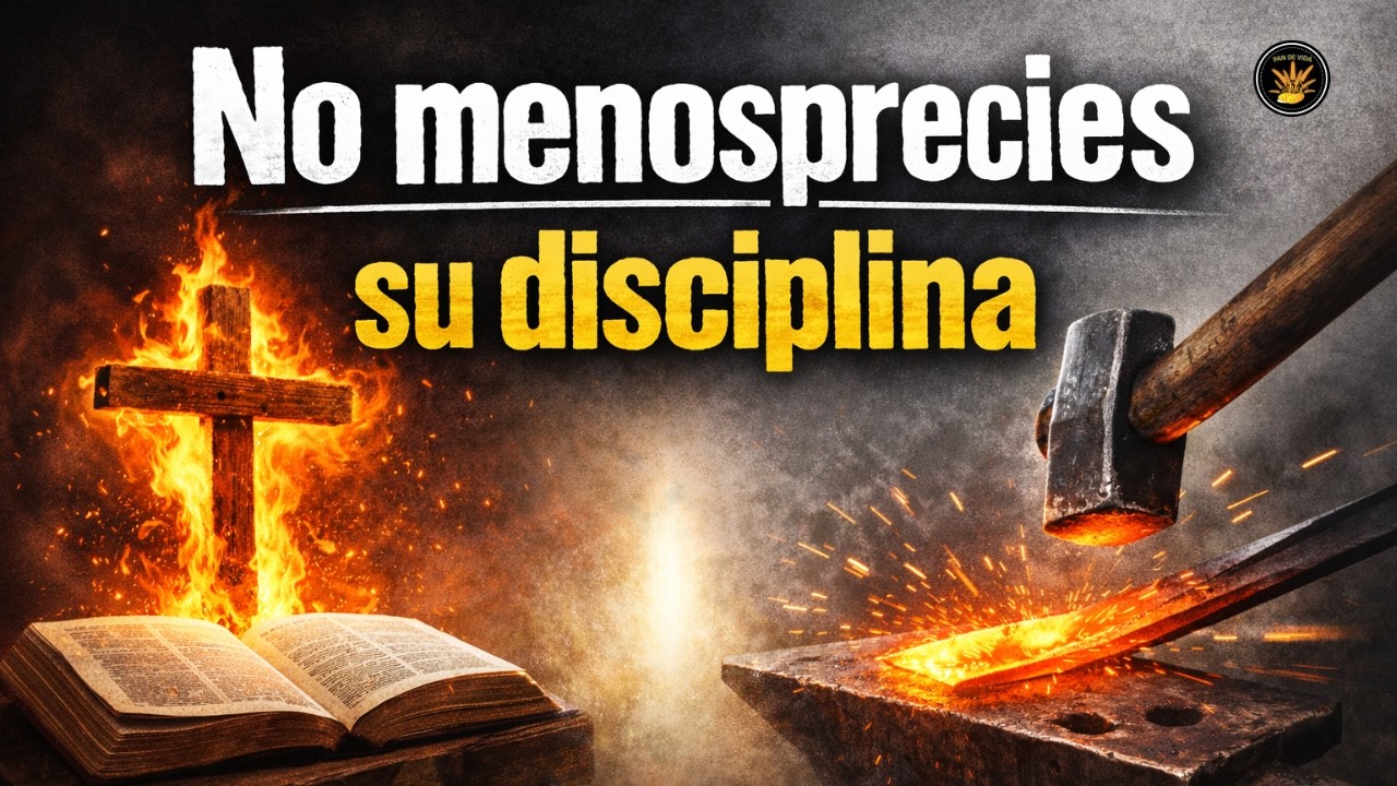 No menosprecies su disciplina - Devocional