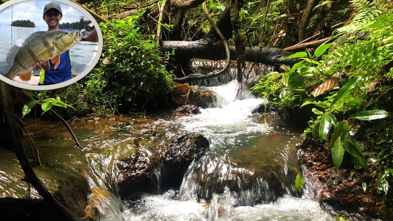 Exploring  waterfalls in the jungle and finding new spots for Peacock bass fishing - Brokopondo lake