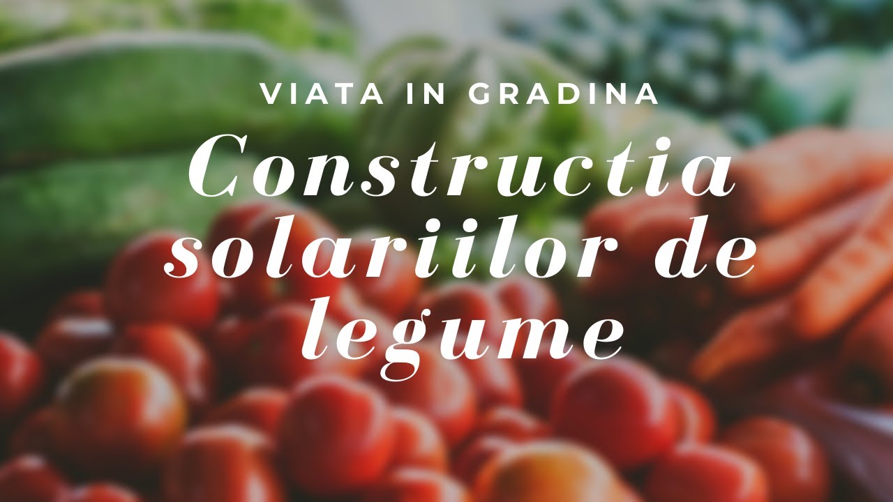 Construcția solariilor de legume | VIATA IN GRADINA