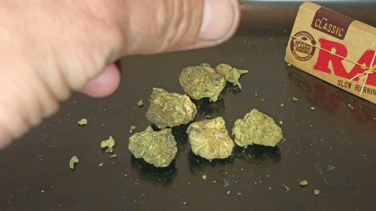 Mimosa strain review