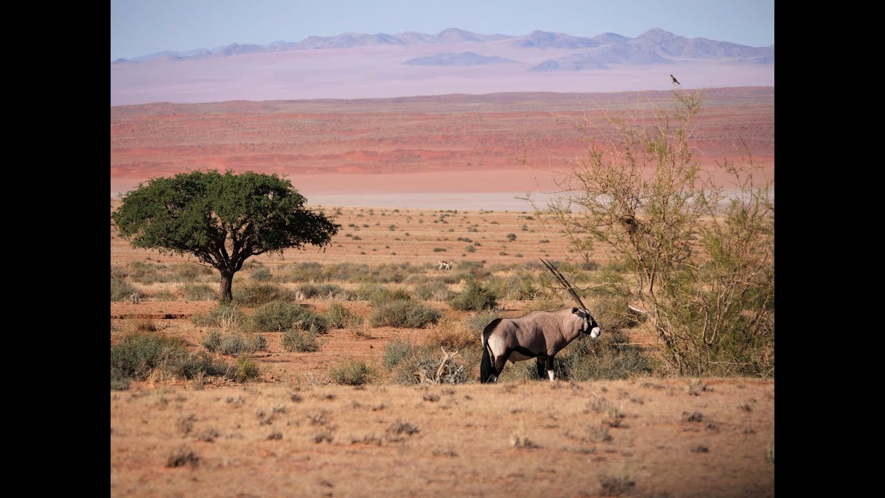 Süd Namibia 2024   Film 1