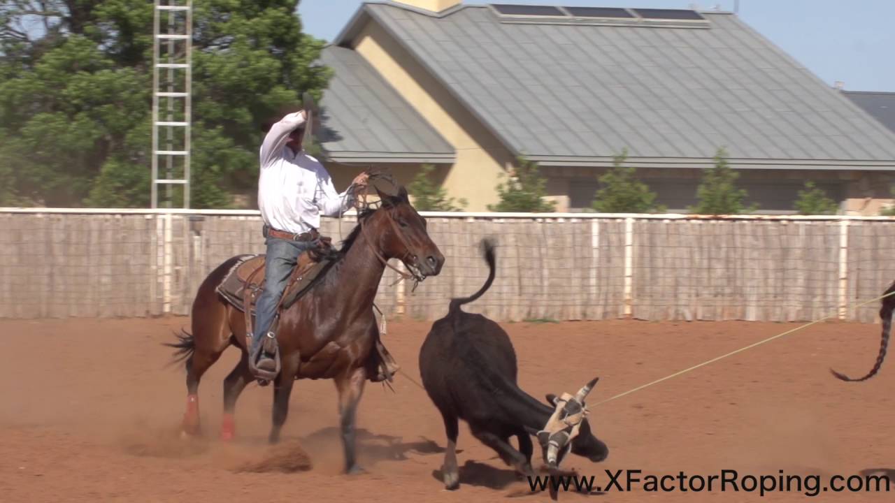 Slowing a Heel Horse Down and Softening Them Up