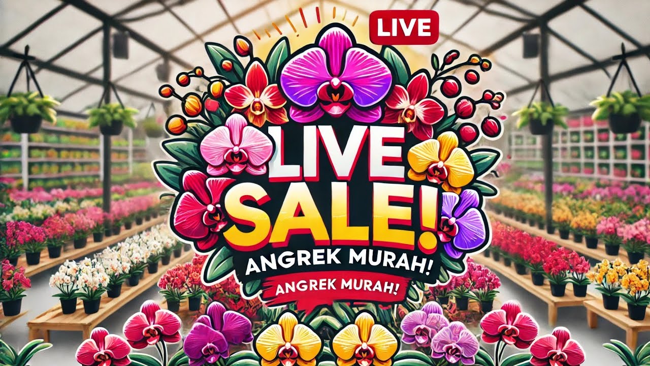 🔴LIVE SALE PAGI‼️ Ramadhan sale spesial 3.3 flash sale obral anggrek🤗😍