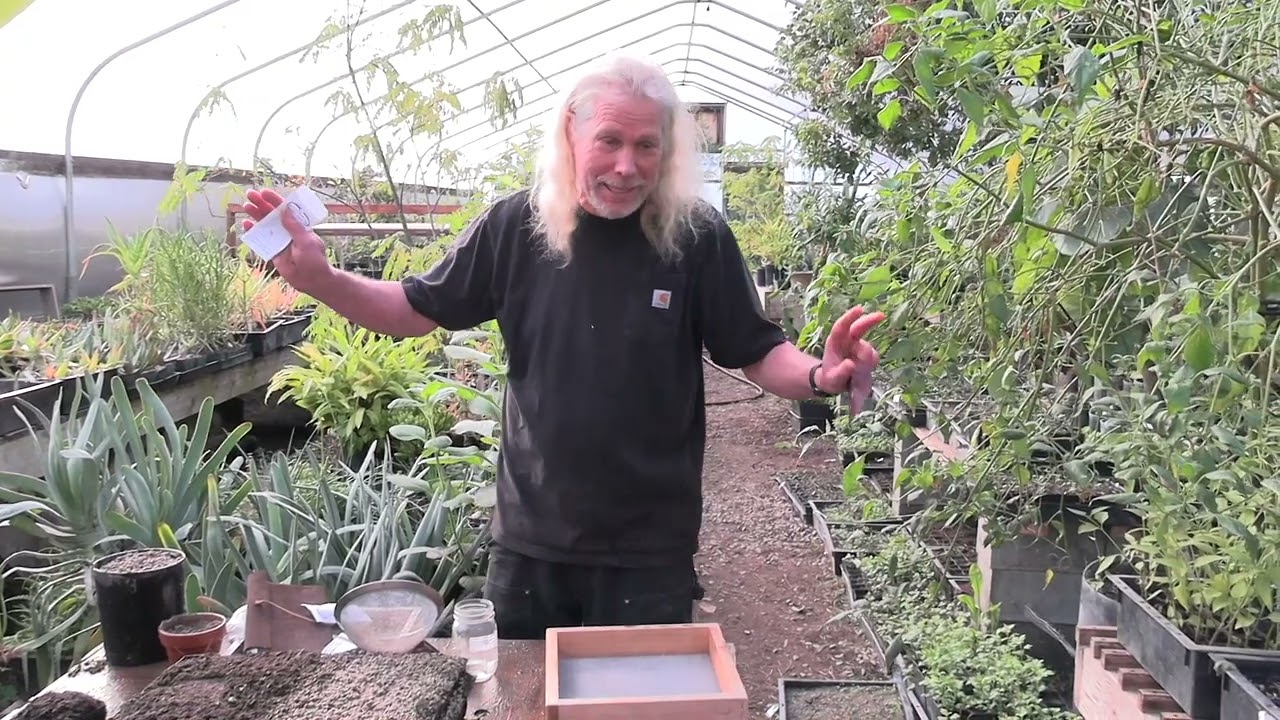 Seed Planting Techniques