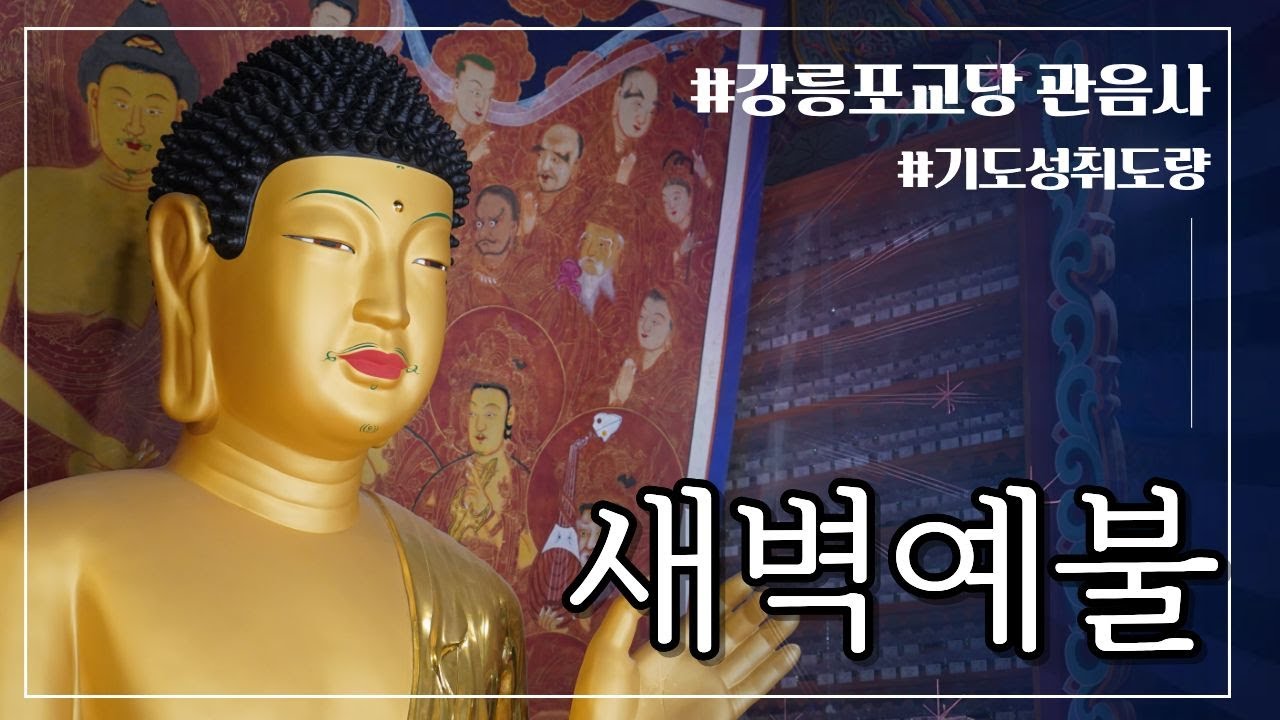 새벽예불 | 강릉 #관음사 - 부처님과 함께 하루를 시작하세요 #강릉포교당관음사