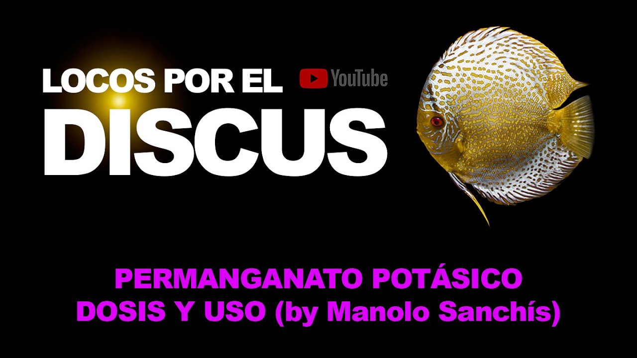 LOCOS POR EL DISCUS  PERMANGANATO POTÁSICO  DOSIS Y USO (by Manolo Sanchís)