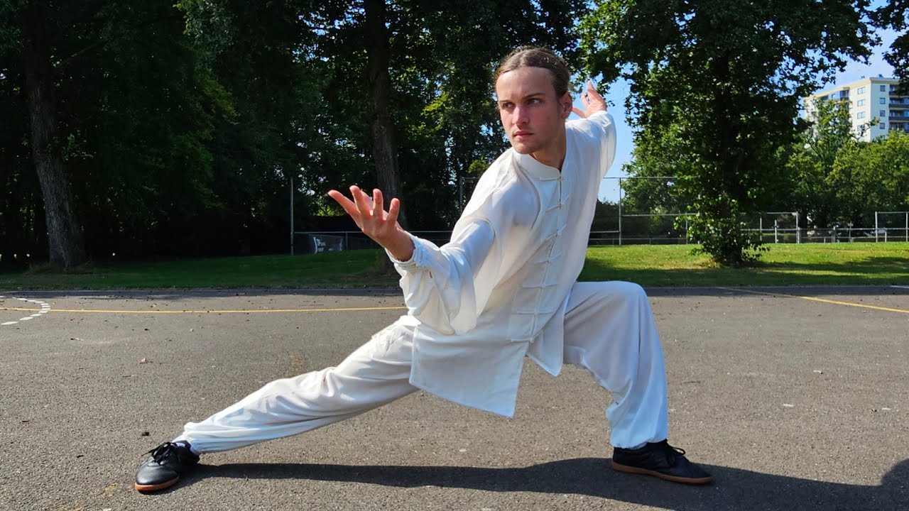 Taijiquan Chen Style 少林 Shaolin Xinjia Yi Lu 新架一路 He Yong Gan
