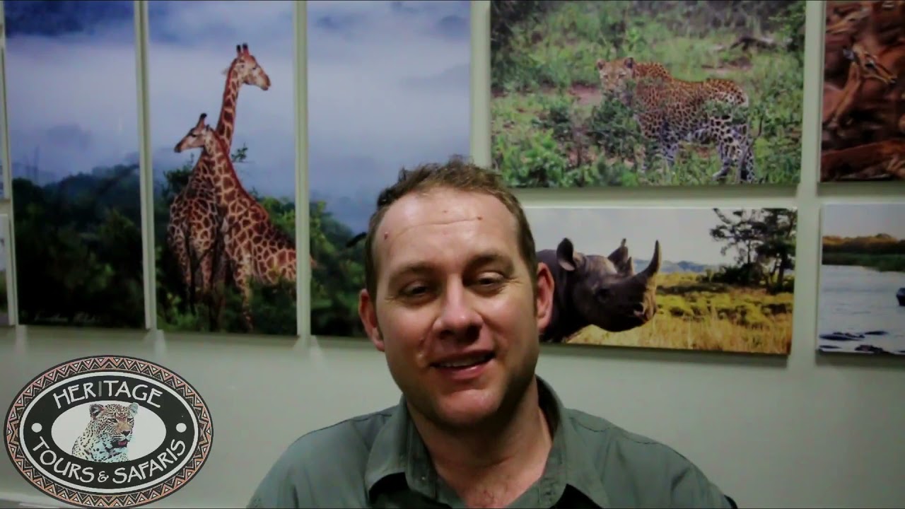 St Lucia, South Africa KZN Hippos Walking around Town