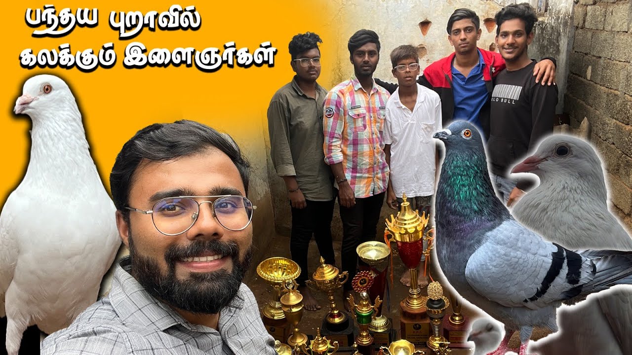 பந்தய புறா Racing Pigeon கலக்கும் இளைஞர்கள் Pigeon Loft Visit