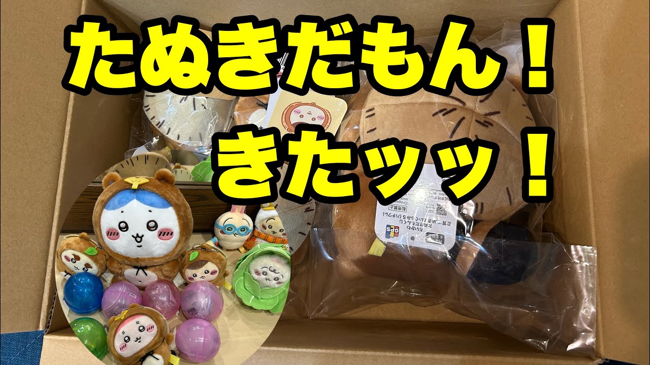 【ちいかわ】たぬきだもんくじ開封✨サンリオなりきりフィギュア✨ライトクリップ【ガチャ開封】