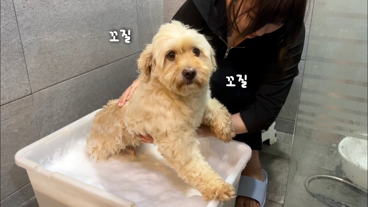 엄마.. 목욕 내일하면 안댕?