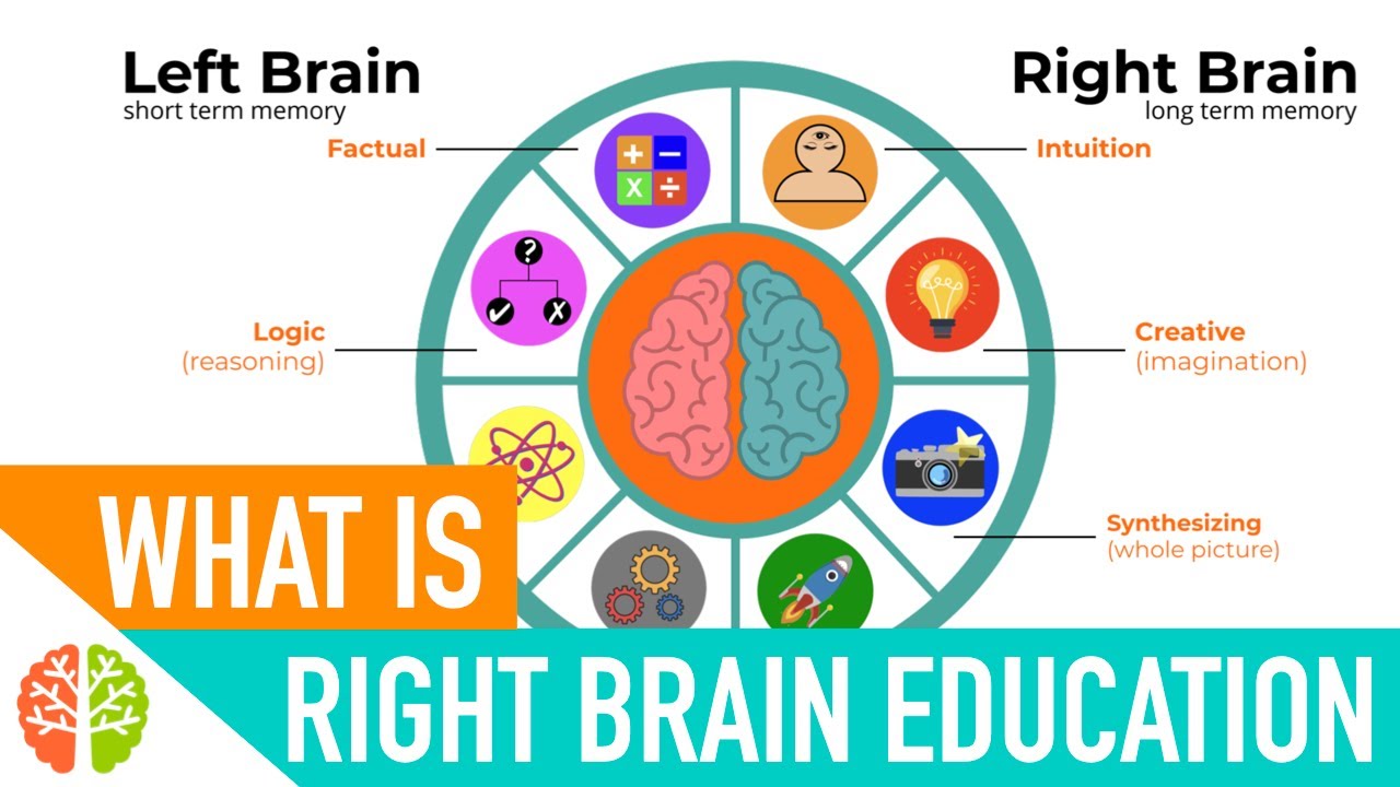 WHAT is Right Brain Education? All you need to know to teach your baby or toddler at home.