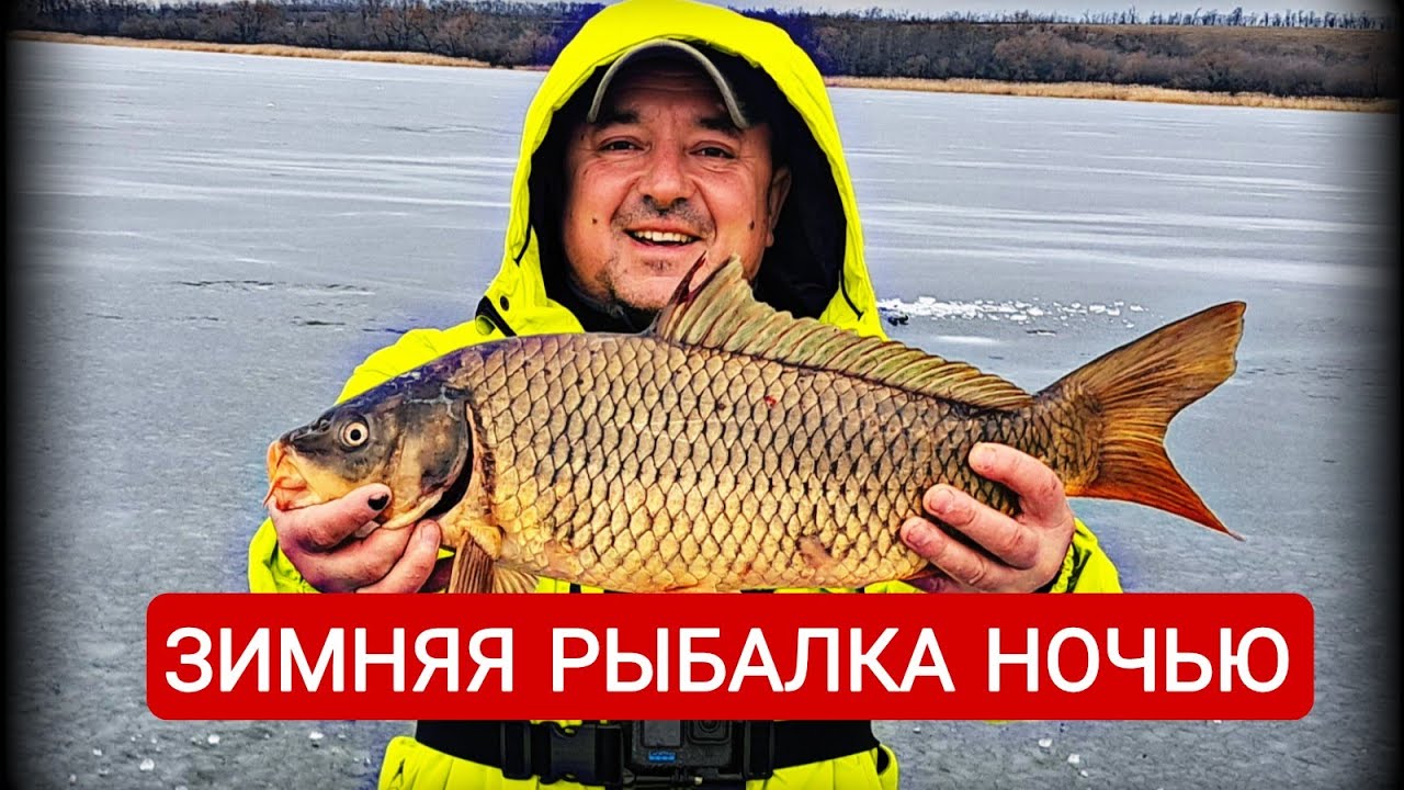 ВОТ ЭТО КАБАНЫ!!! НОЧЬЮ АТАКУЮТ СЕКРЕТНУЮ ПРИМАНКУ!!! #fishing #carpfishing #bigfish