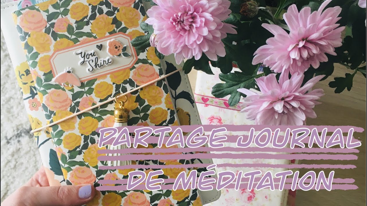 Partage Journal de méditation ☁️ 1 an d'étude biblique