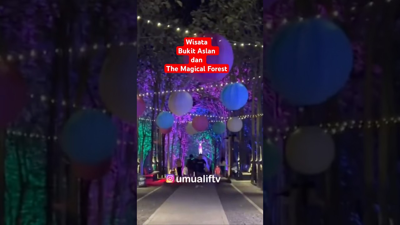 Wisata bukit aslan the magical forest #travel #wisata #sumatera #lampung #shorts #viralshort #video