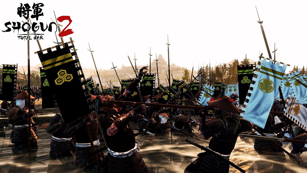 Shogun 2 Total War - Battle of Anegawa 1570 (姉川の戦い) | Very hard | HD models