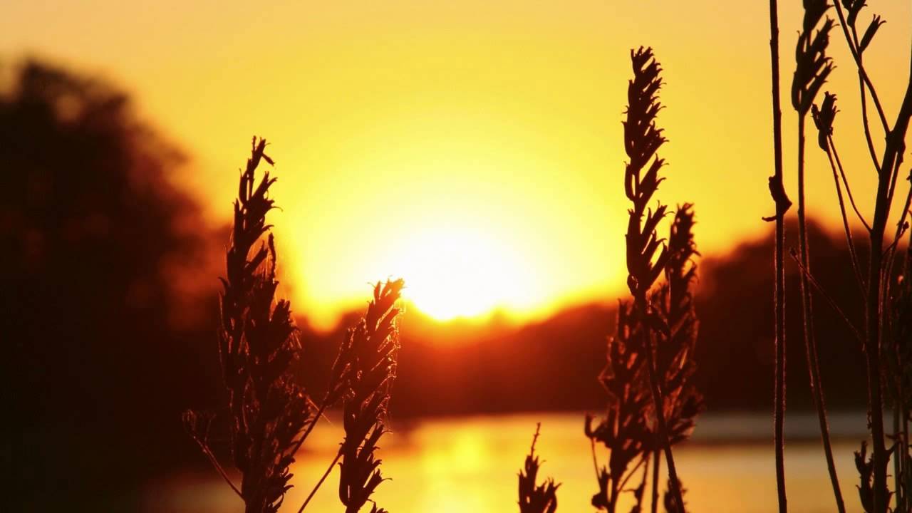 Gramatik - Somebody [HQ]